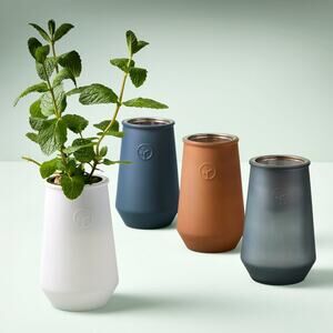 Modern Sprout Gray Tapered Glass Metal Tumbler Grow Kit Small Plant Pot Vessel